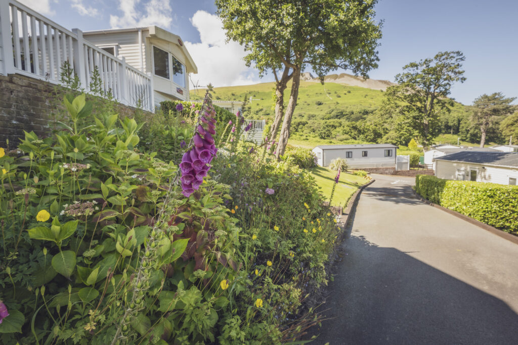 Craiglwyd Hall Caravan Park