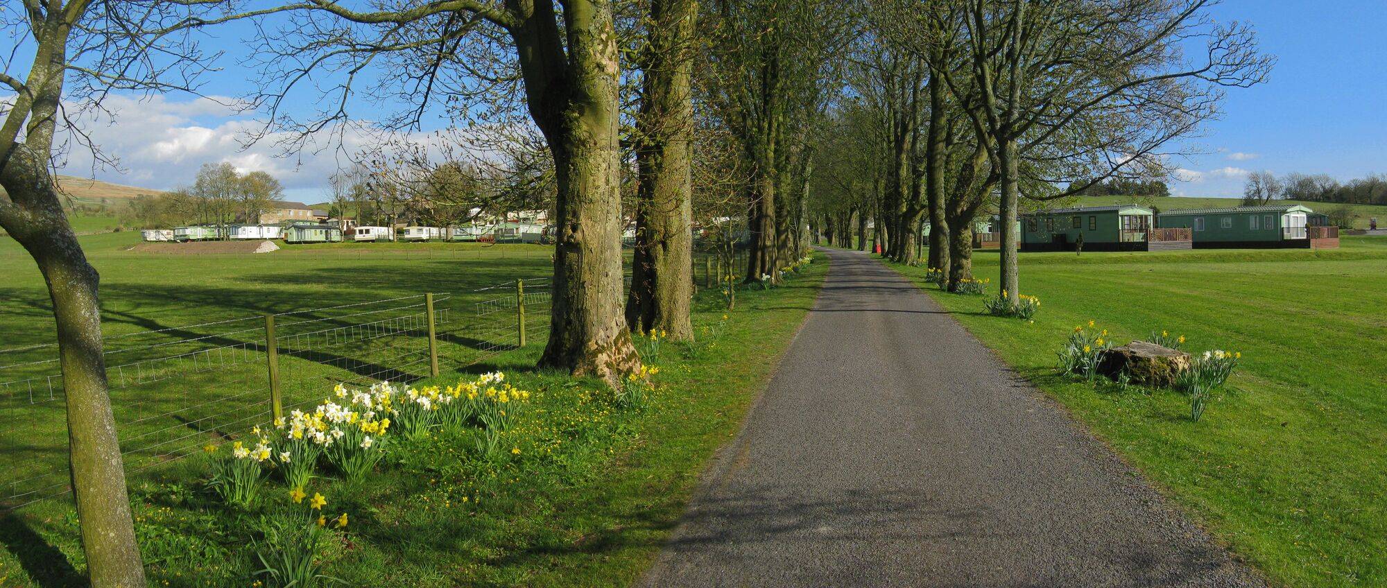 Along_Greenwood_Leghe_drive_6fc4274210.jpg