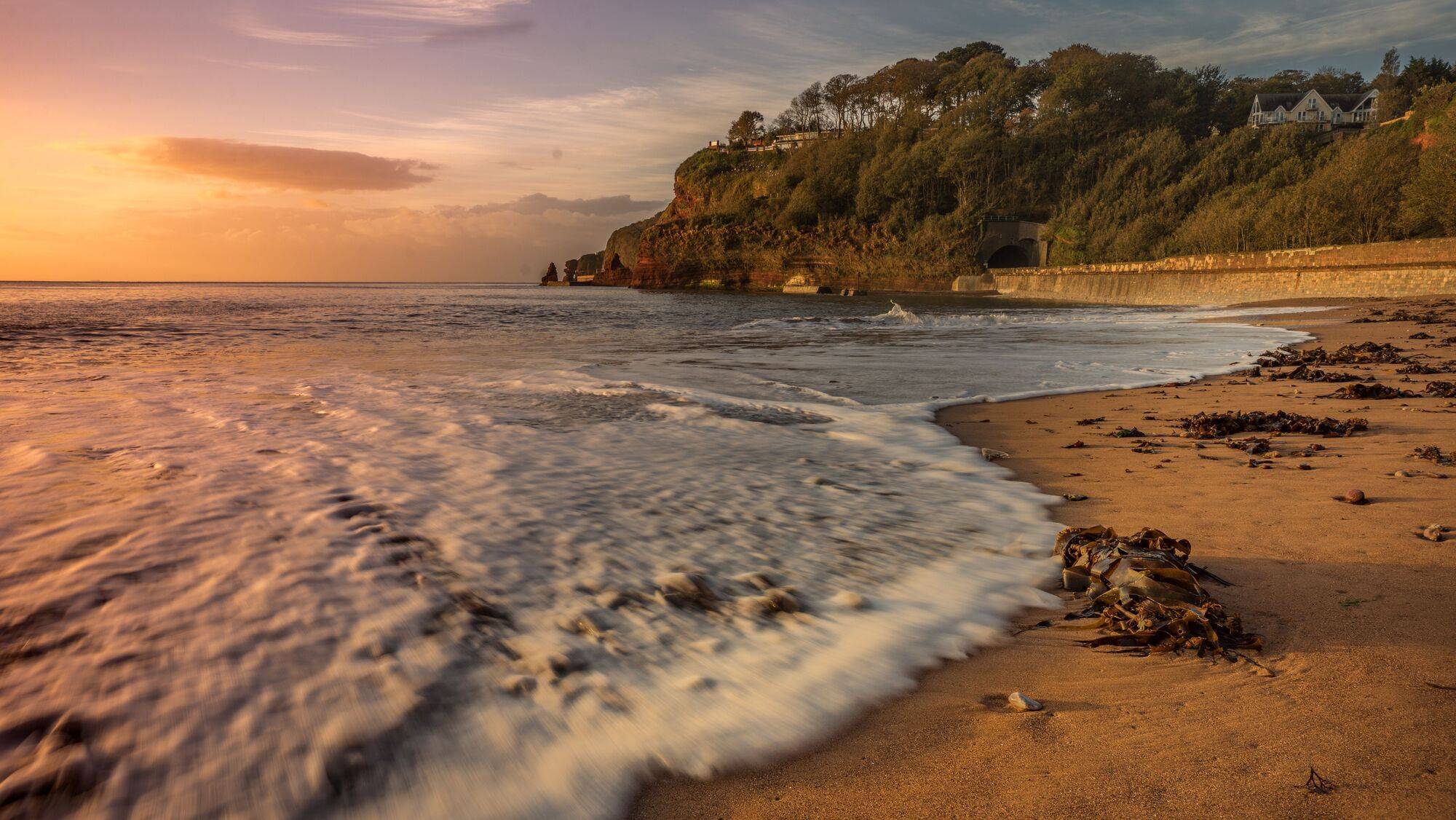 Attraction_Dawlish_37d84473dd-1.jpg