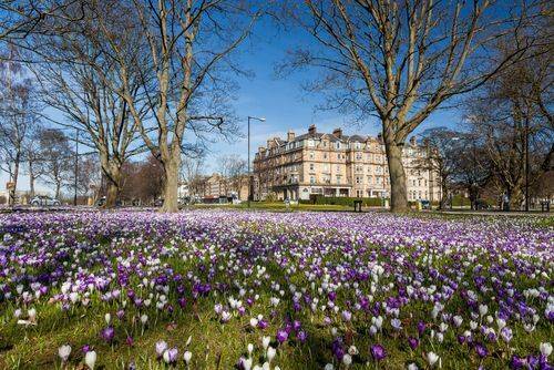 Attraction_Harrogate_d9a1f074eb-2.jpg