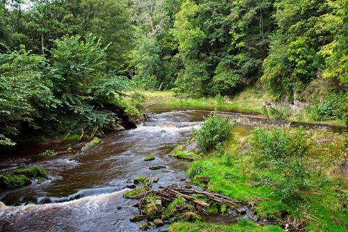Attraction_Scotland_Midlothian_2_098aa85680.jpg
