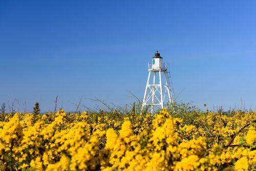 Attractions_Silloth_fac20d2e8e-1.jpg