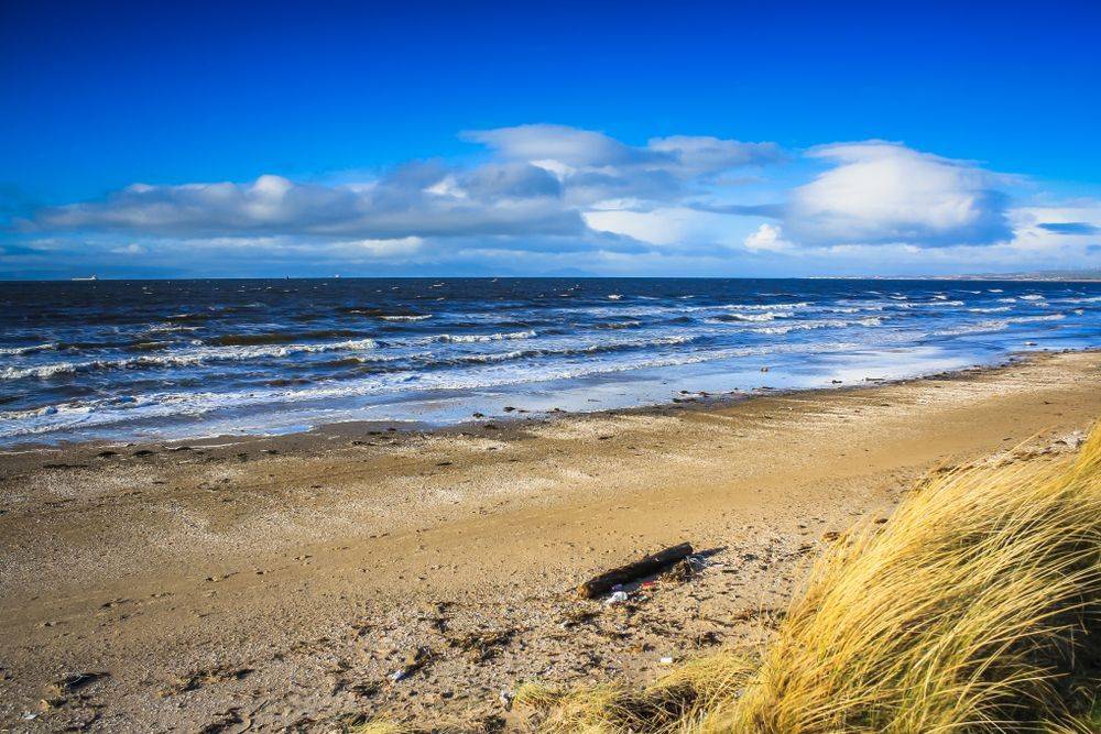 Ayrshire_5a1ca5a19d-3.jpg