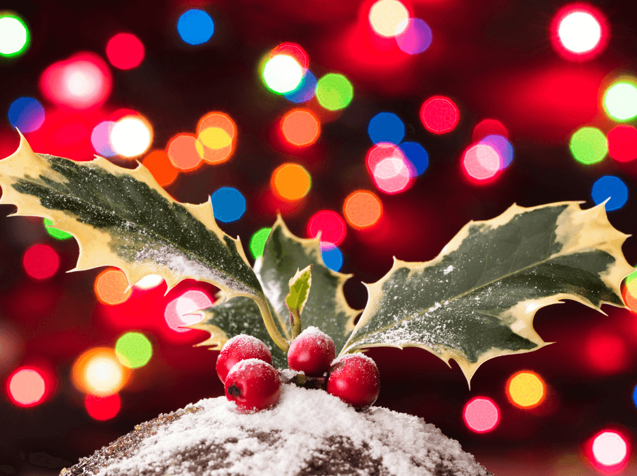 Christmas Pudding alternatives