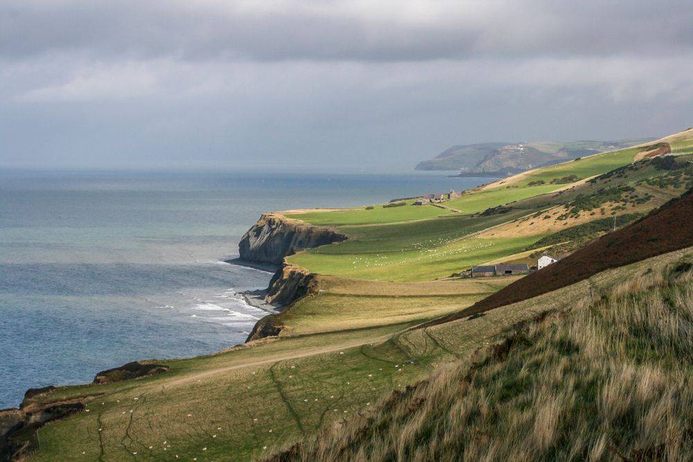 Ceredigion_41ce115d2a-3.jpg
