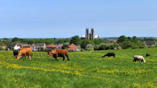 County_East_Yorkshire_4e1c6078a9-1.jpg