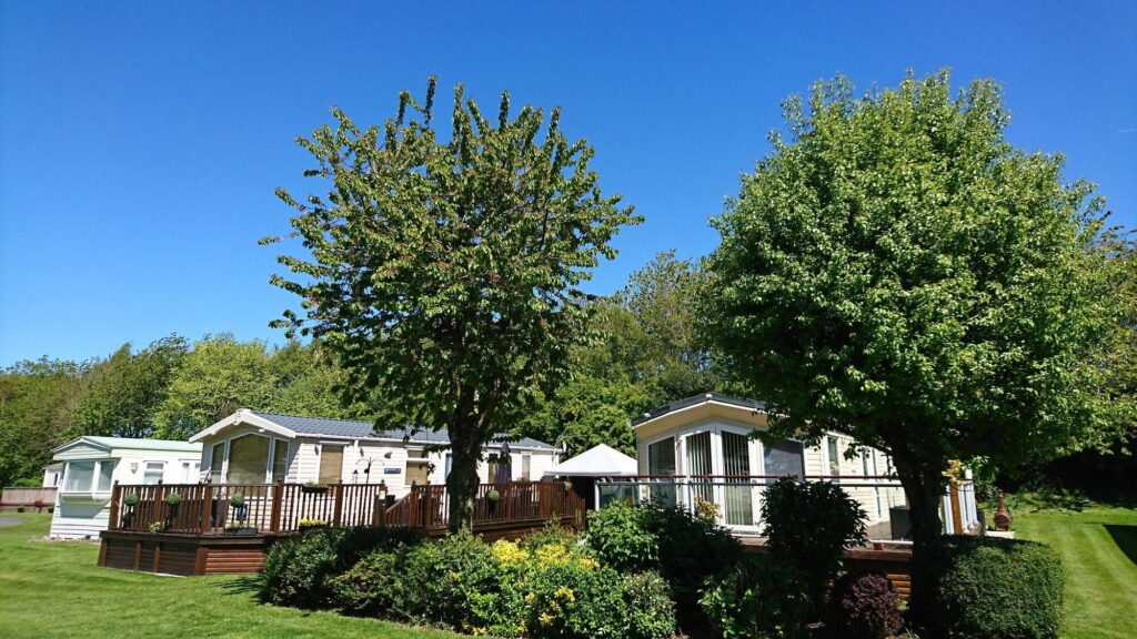 Moss Wood Caravan Park