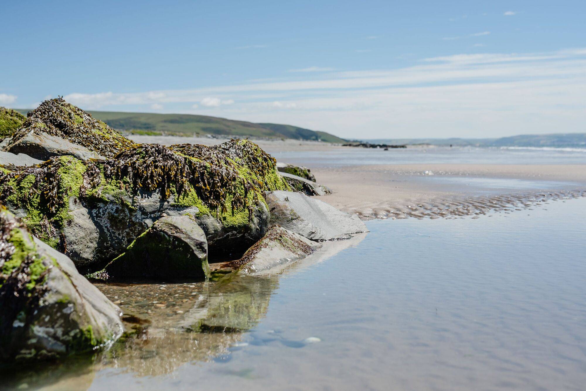 Glan_Y_Don_July_2019_62_of_109_72636442ff.jpg