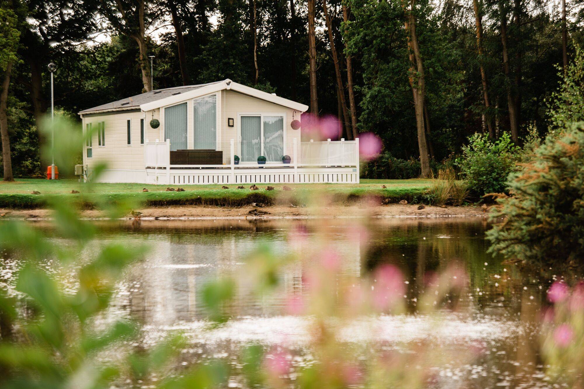 Goosewood_00055_24684e04b6.jpg