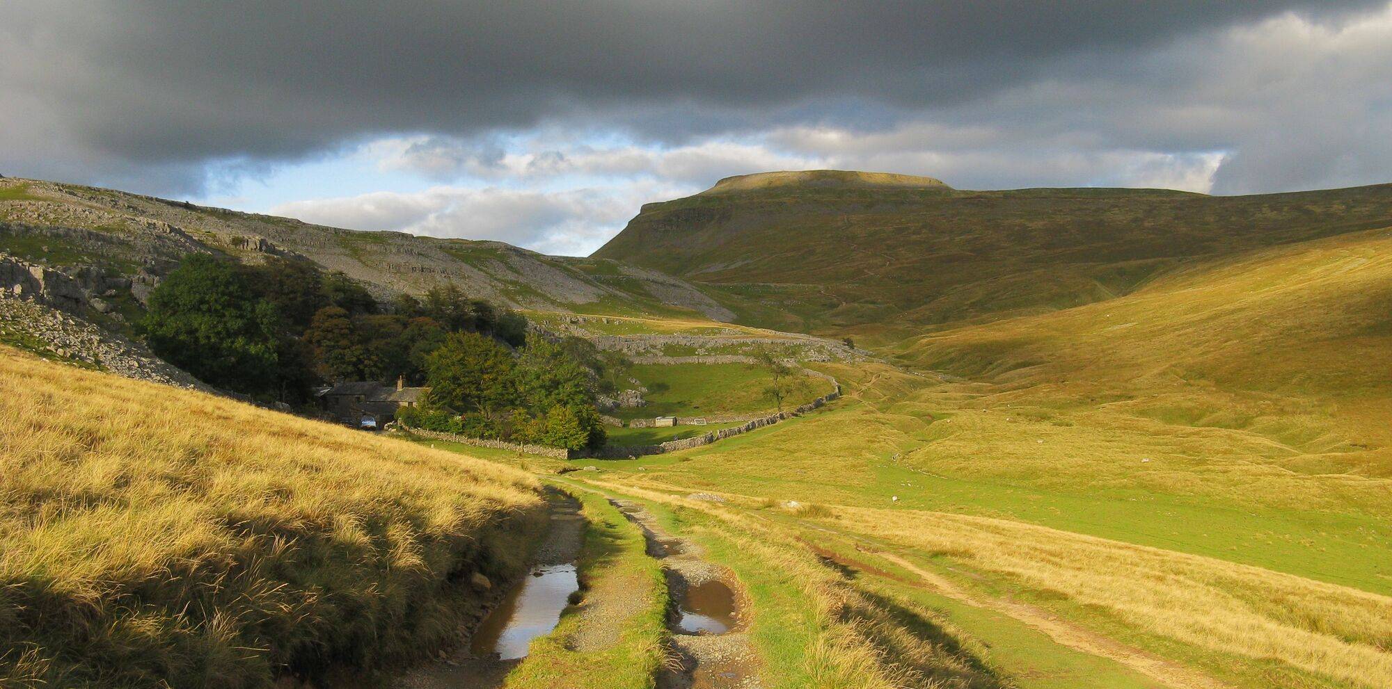 Hills_Image_0da05a1d60.jpg