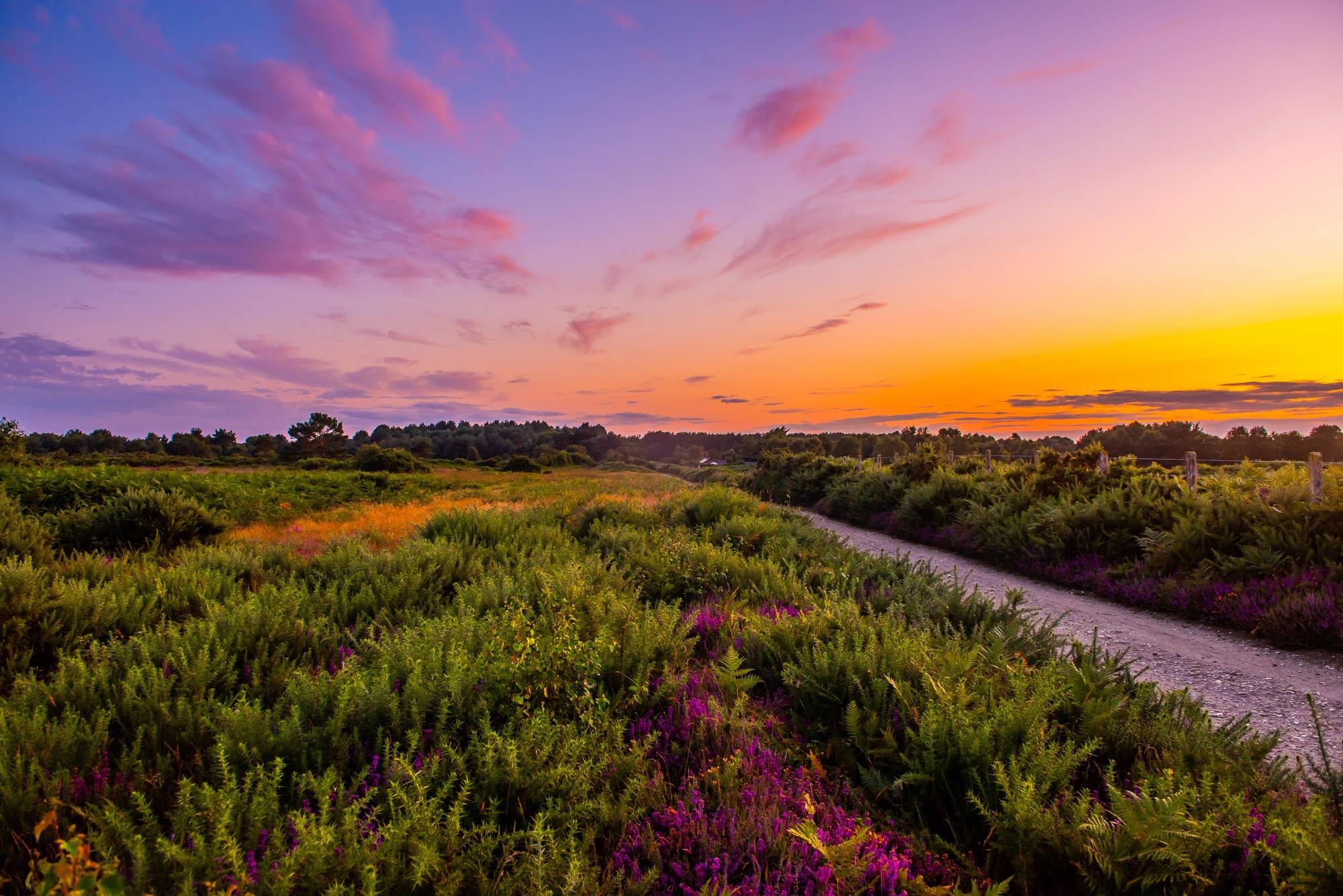 Kelling_Heath_General_views_216_2_Blue_Sky_Leisure_498382af40.jpg