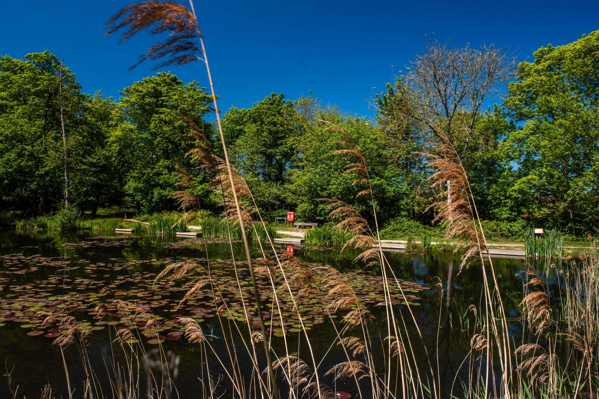 Kelling_Heath_General_views_39_2_Blue_Sky_Leisure_2067a34b5f.jpg