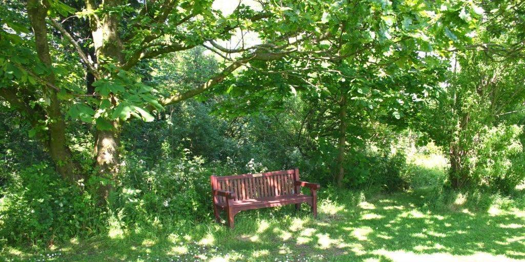 Lamaleach_Park_Image_06_b0f6ba91d2.jpg