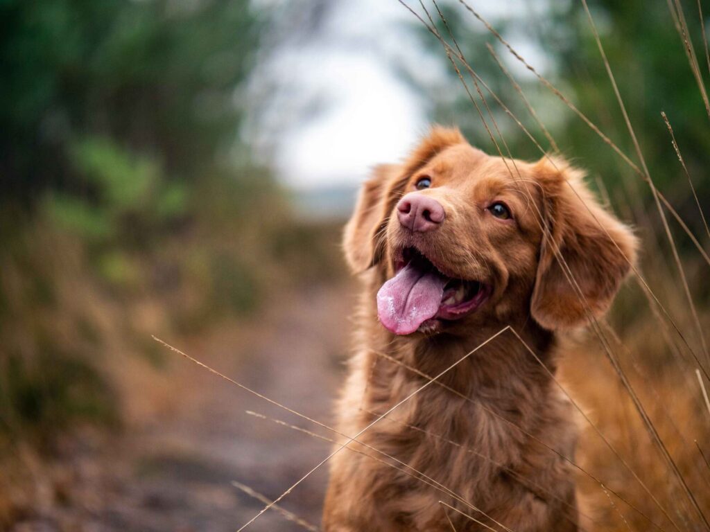 Willerby Walks: The best walks in Norfolk
