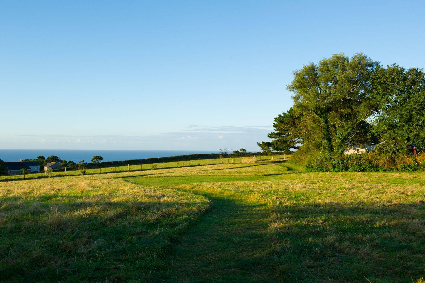 Nature_310fec9f3c.jpg