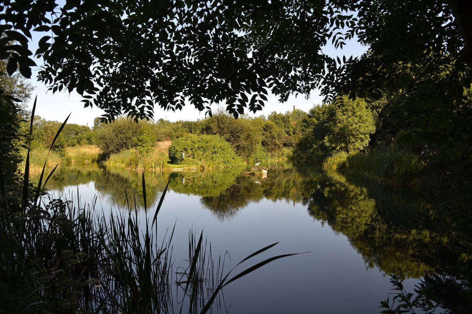 Otterington_park_14_487fb238b8.jpg