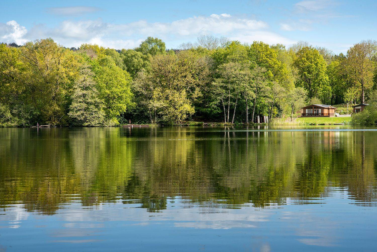 Pearl_Lake_Trees_73c447f05b.jpg