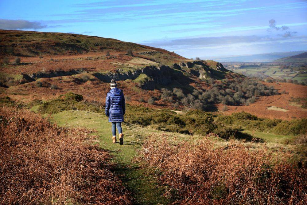 Powys_9c9541795e-2.jpg