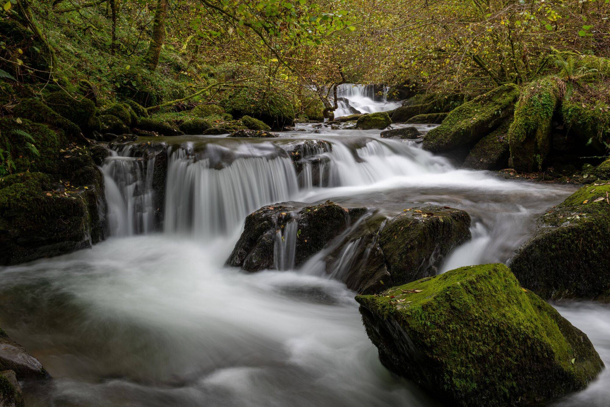 Region_Southwest_6_b56d324320-1.jpg