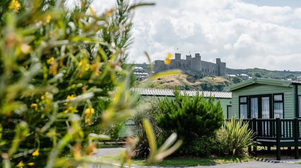 Salop_castle_view_2_74fa773f3e.png