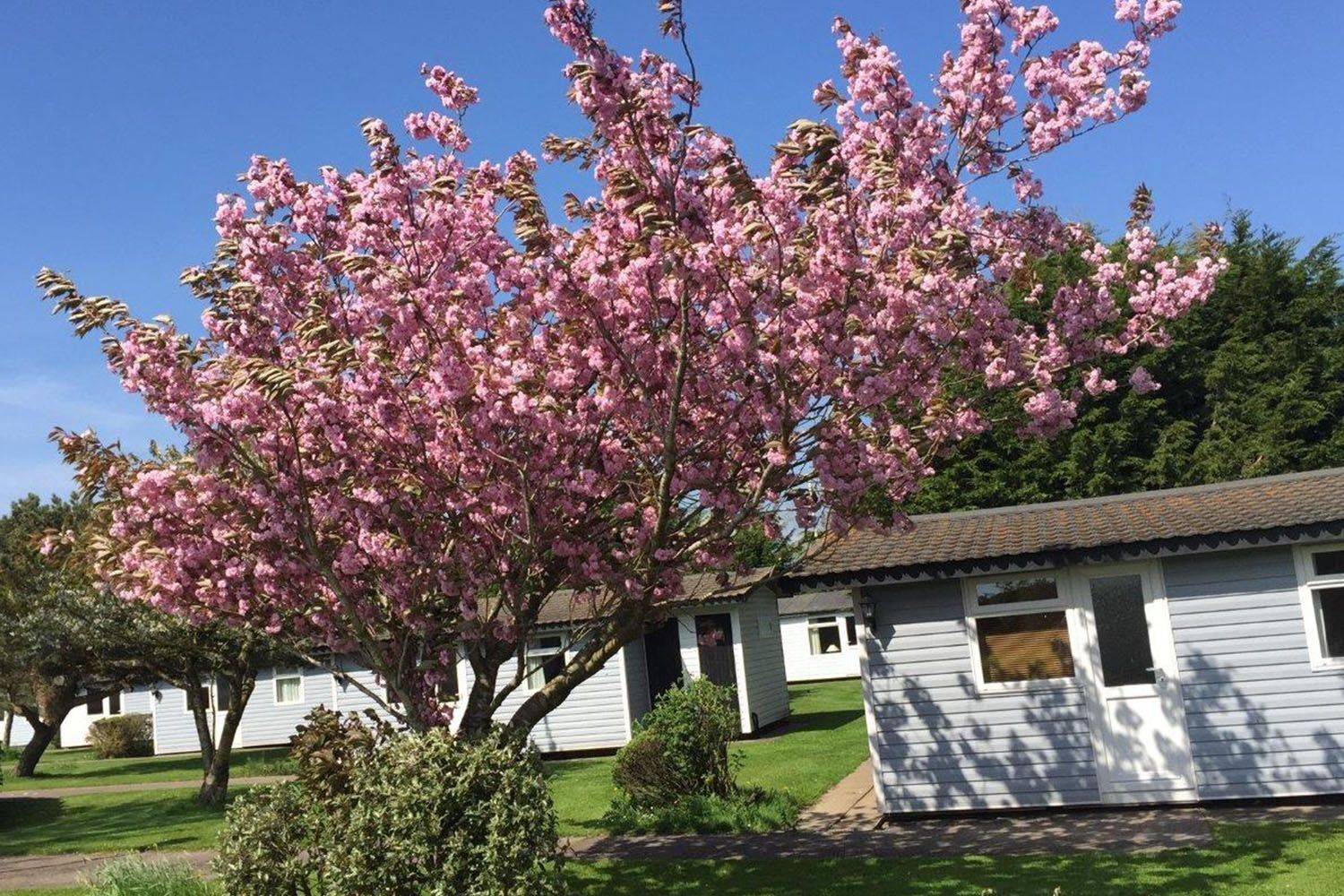 Solway_Chalets_2fd8abbb98.jpg