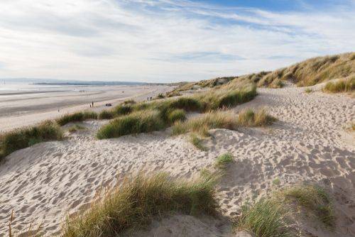 South_East_East_Sussex_Camber_Sands_2_40d4c06e57-1.jpg