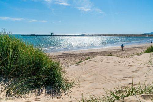 South_East_East_Sussex_Camber_Sands_7be0d69c12-1.jpg
