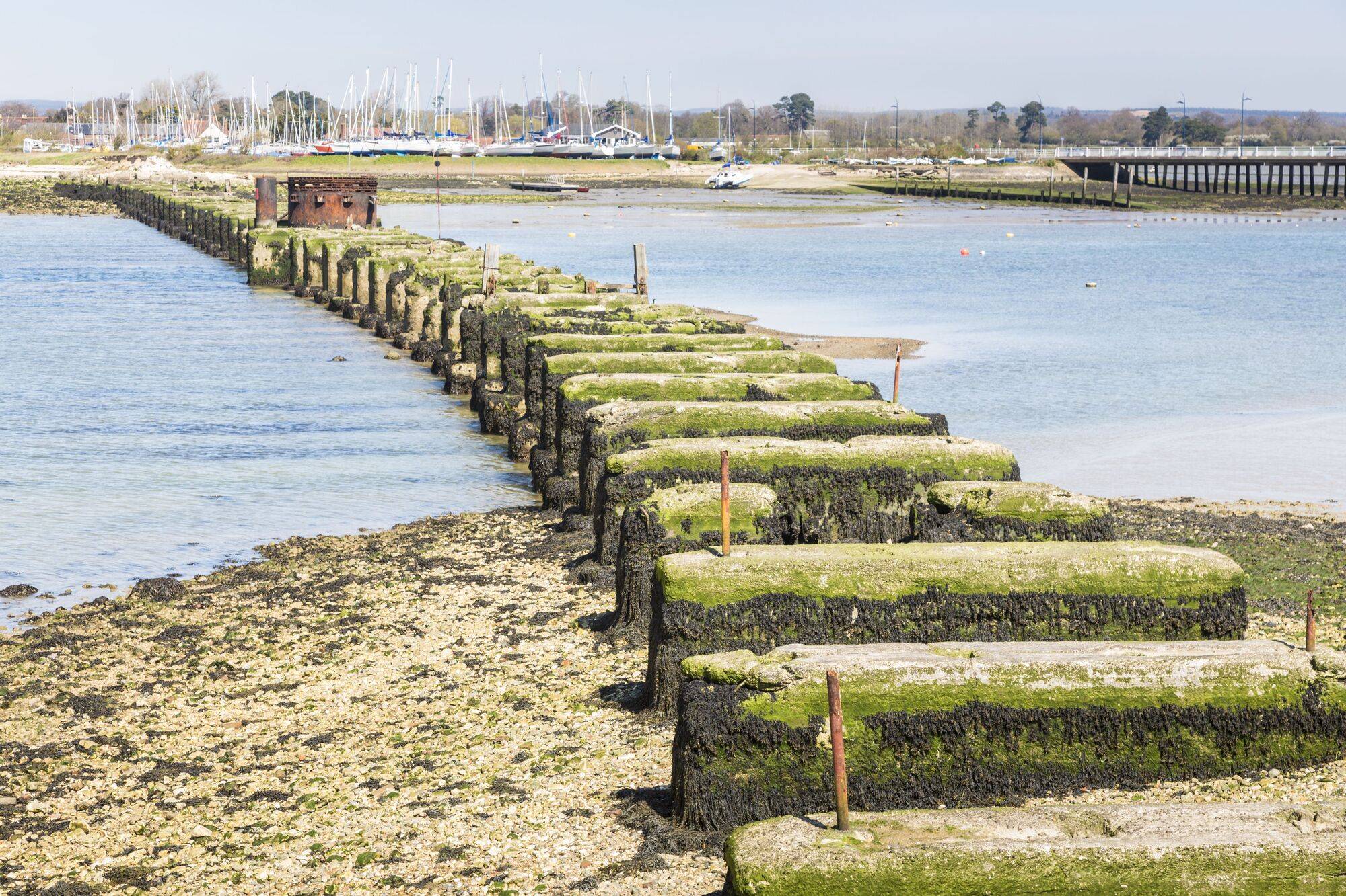 South_East_Hampshire_Hayling_4_15ba3edf56-1.jpg