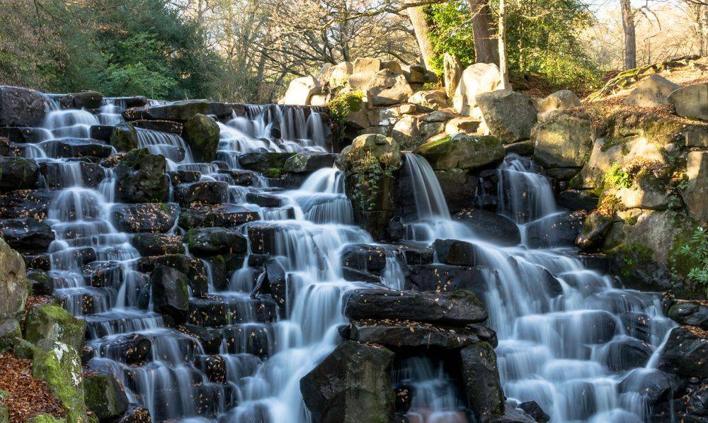 South_East_Surrey_69481a85b4-2.jpg