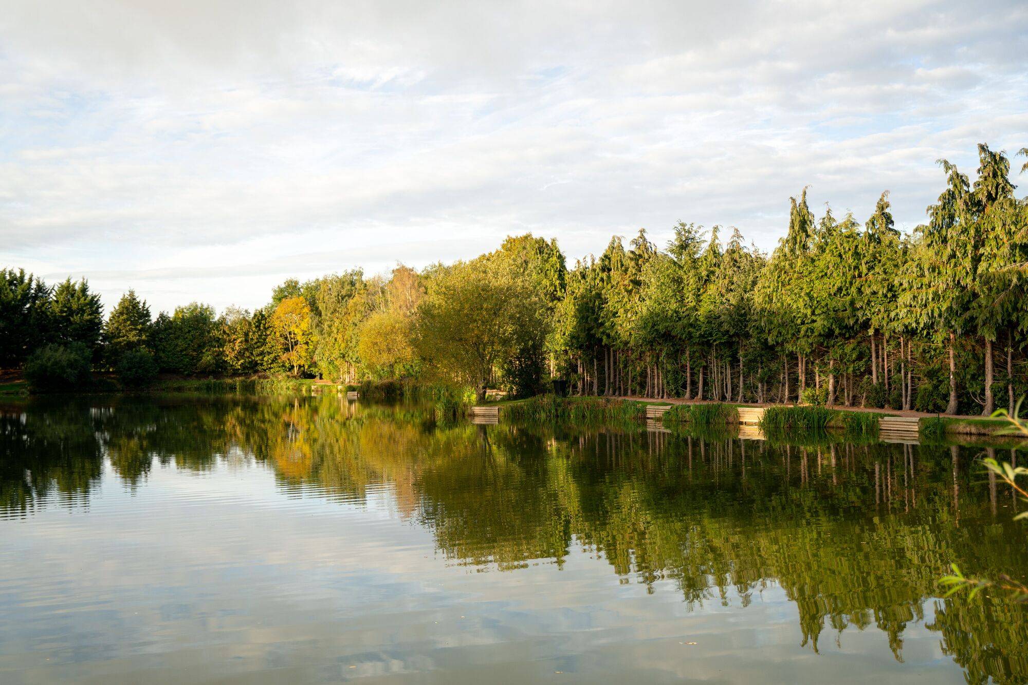 Spring_Lea_October22_High_Res_1_97dac7a422.jpg