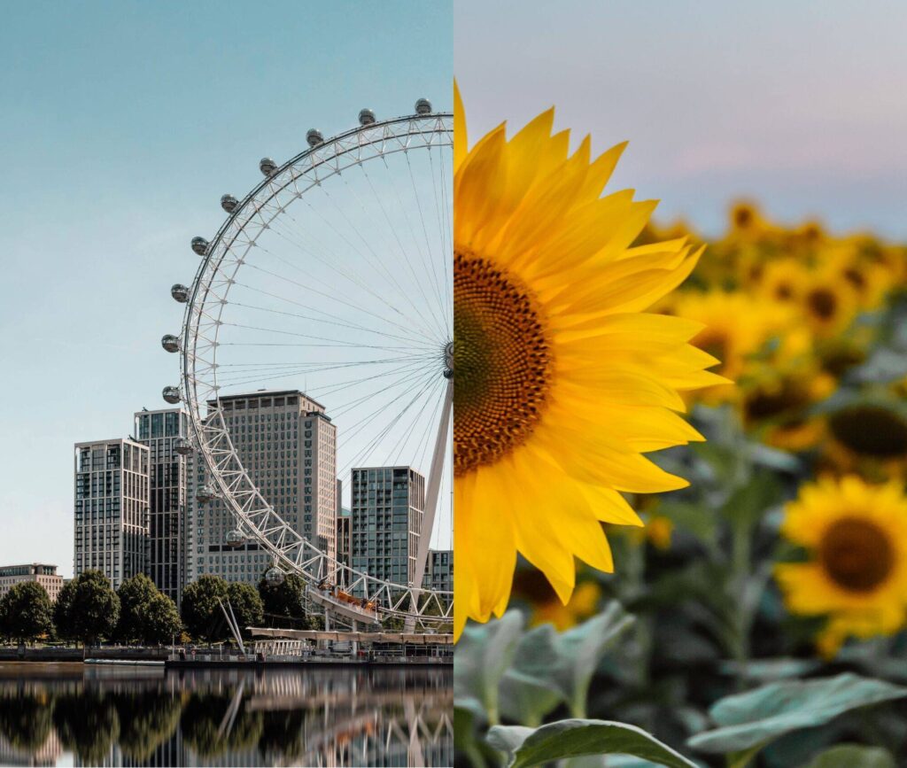 London calling … Willerby makes its capital debut!