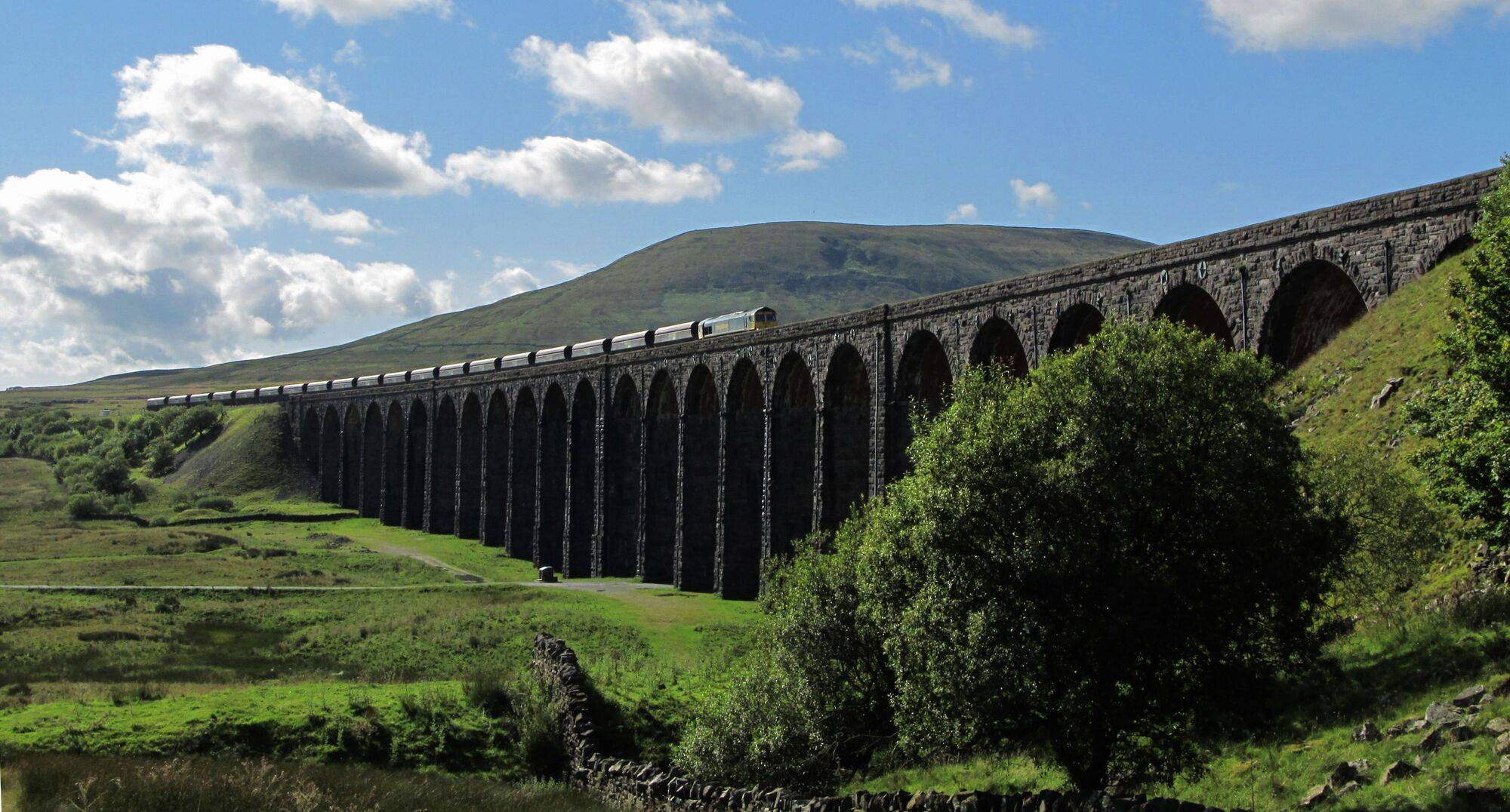 Train_Image_4bd9895a23.jpg