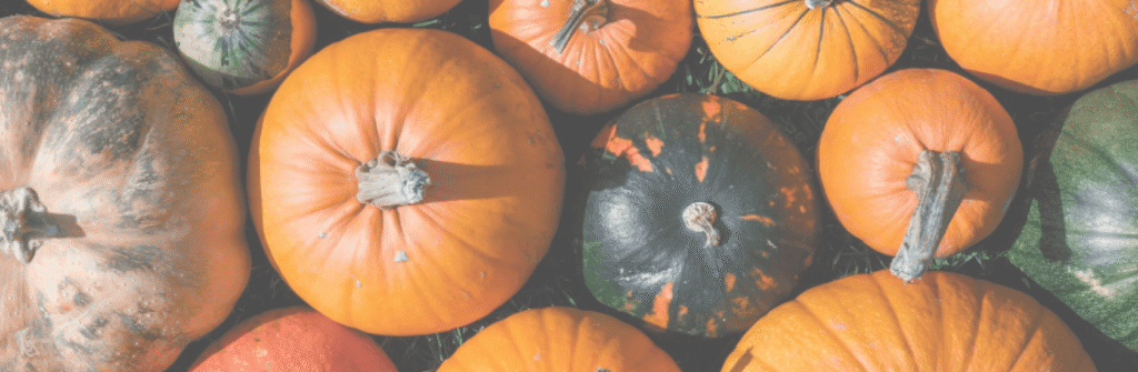 A guide to a spooky Halloween night in
