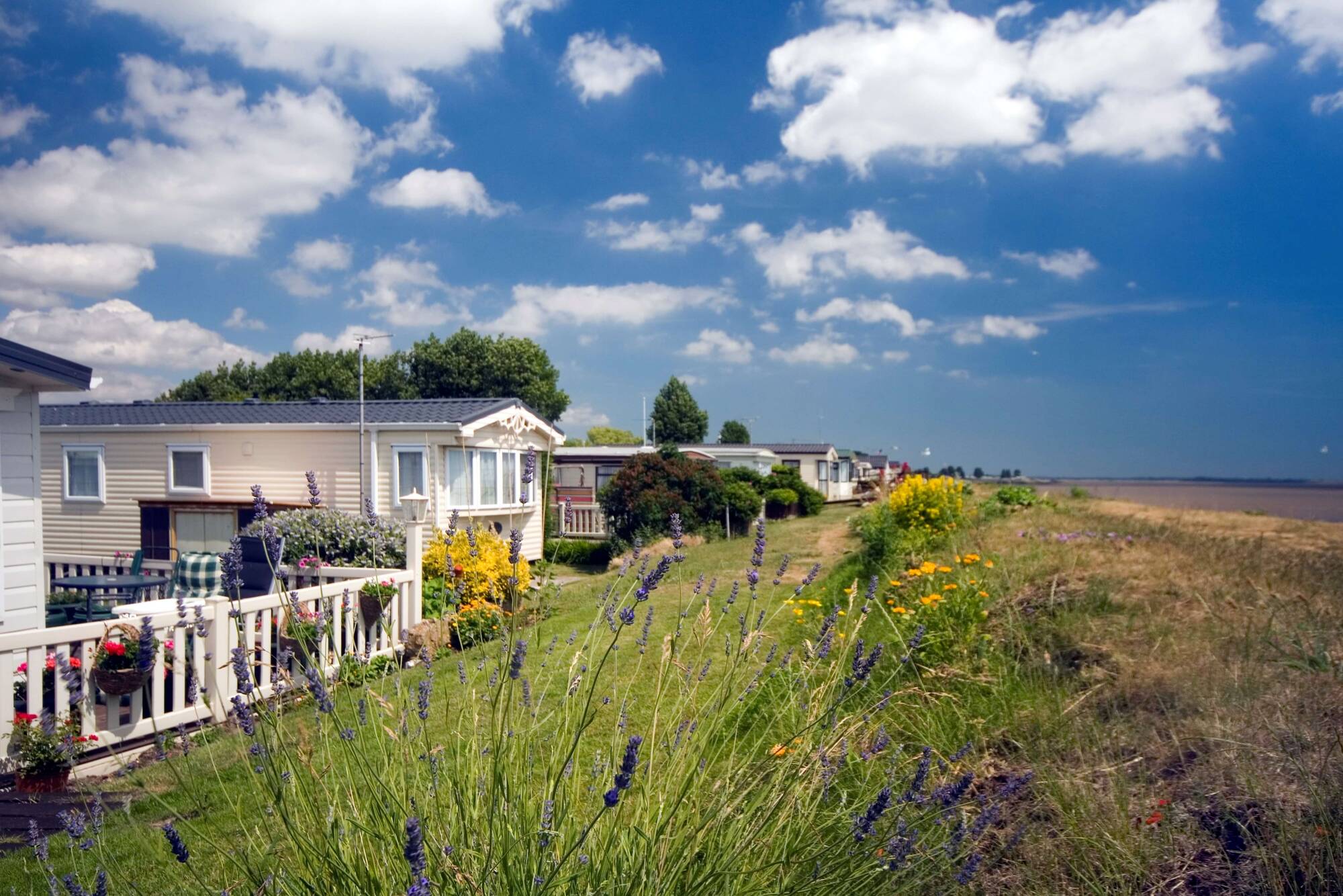 Waldegraves_Beach_view_4a99b15aa9.jpg
