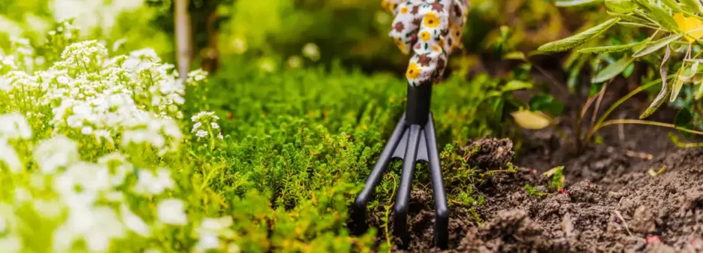 Preparing your holiday home garden for spring