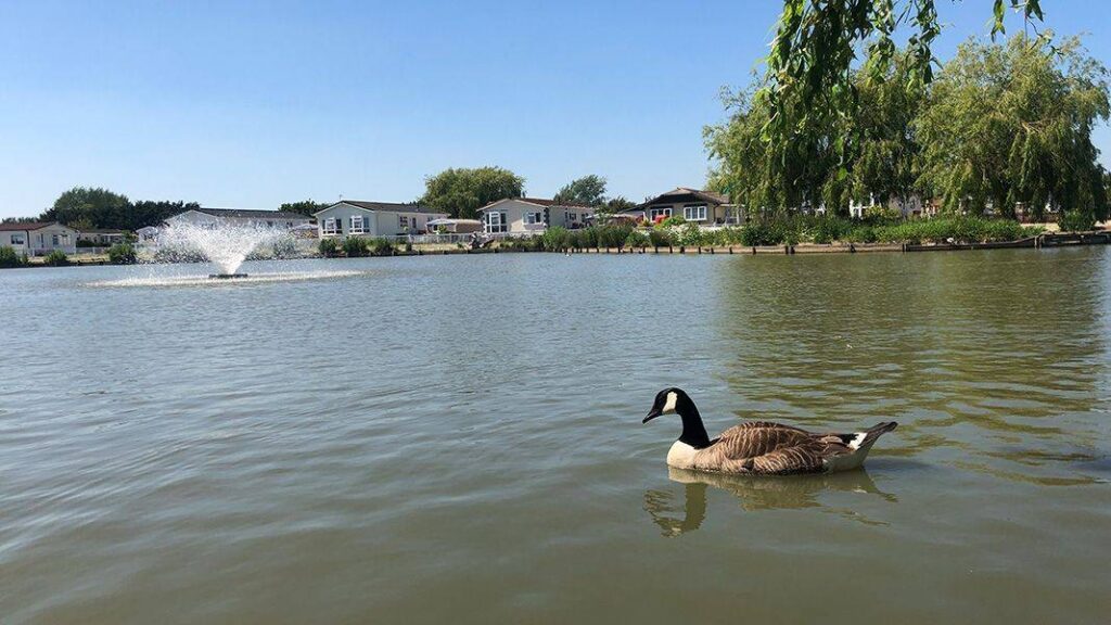 Beacon Park