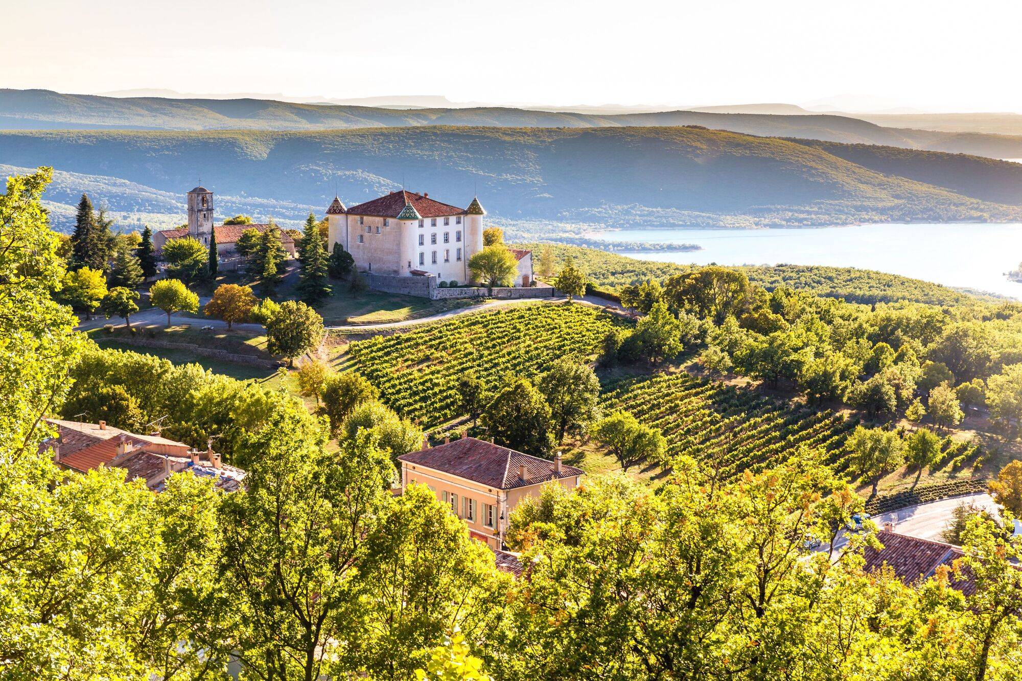 county_france_vineyard_fbf9a5545b-1.jpg
