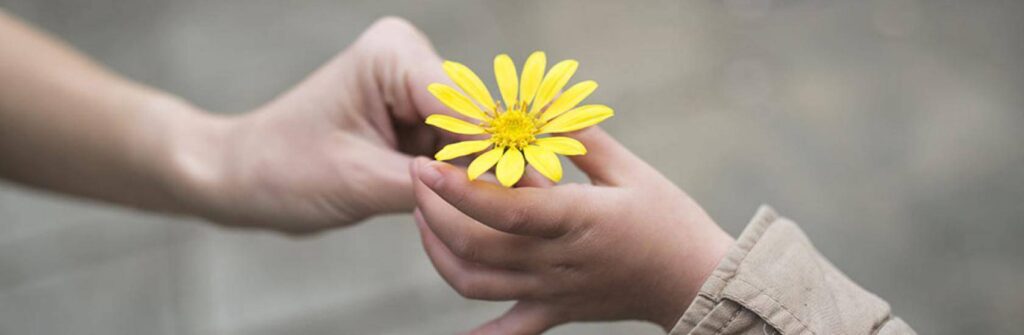 The Art of Kindness