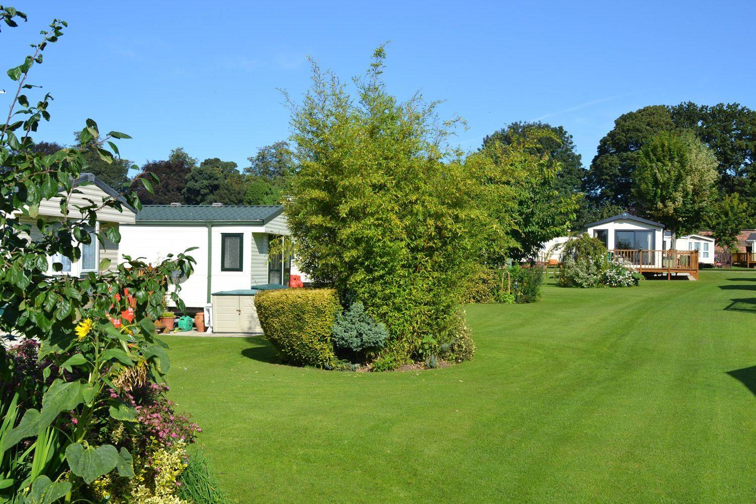 nursary_garden_18_04f2925906.jpg