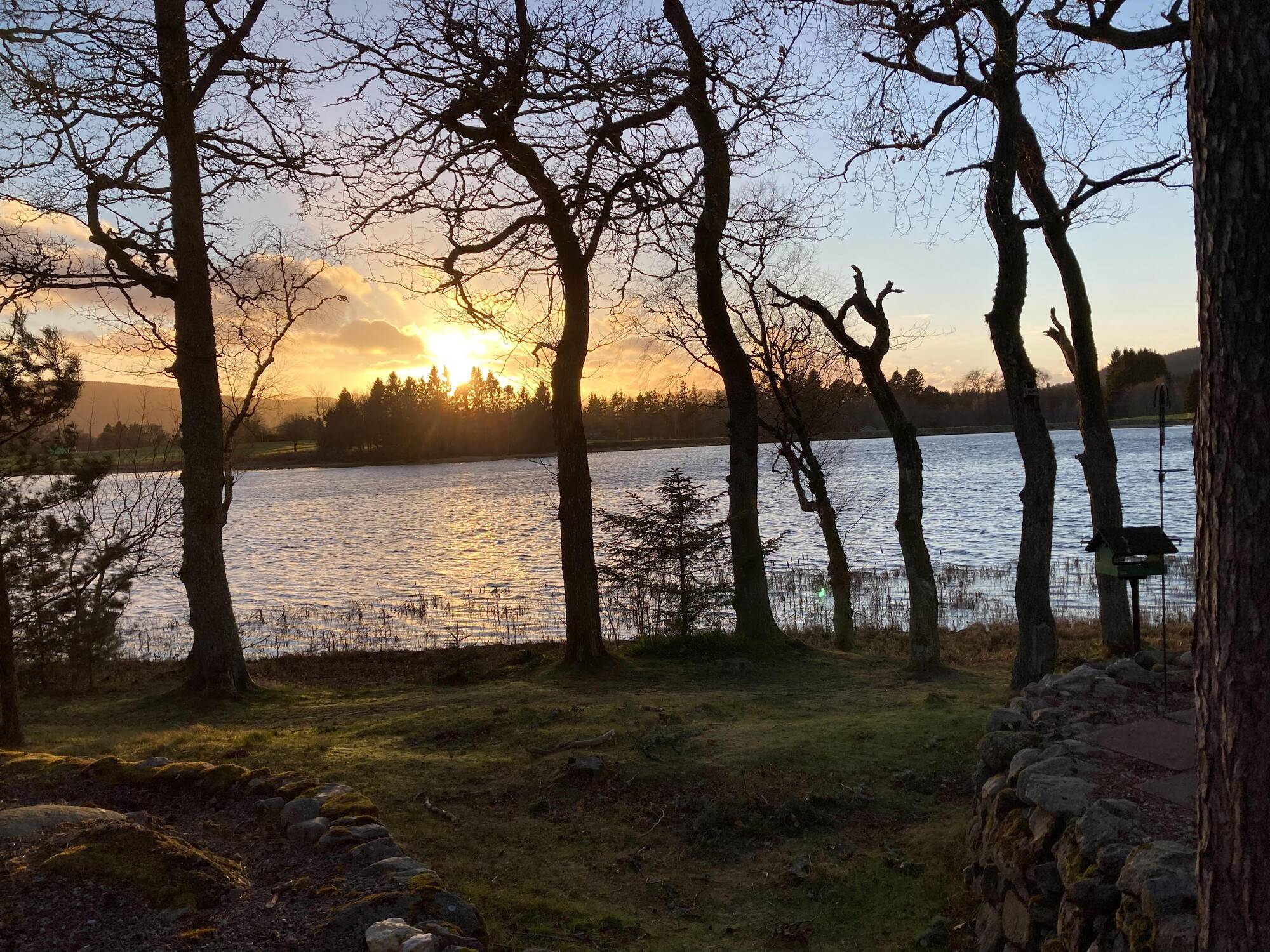 park_aboynelochcaravanpark_9c3a8d471d.jpg