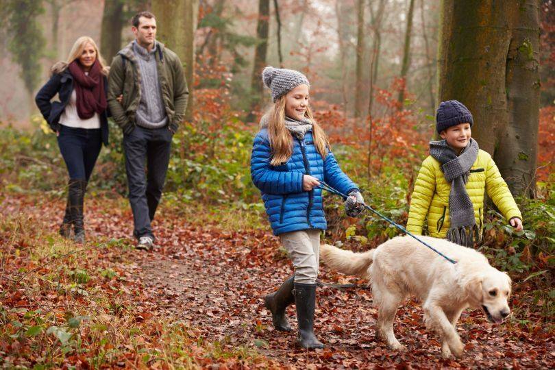 15 things to do with your grandchildren this half term