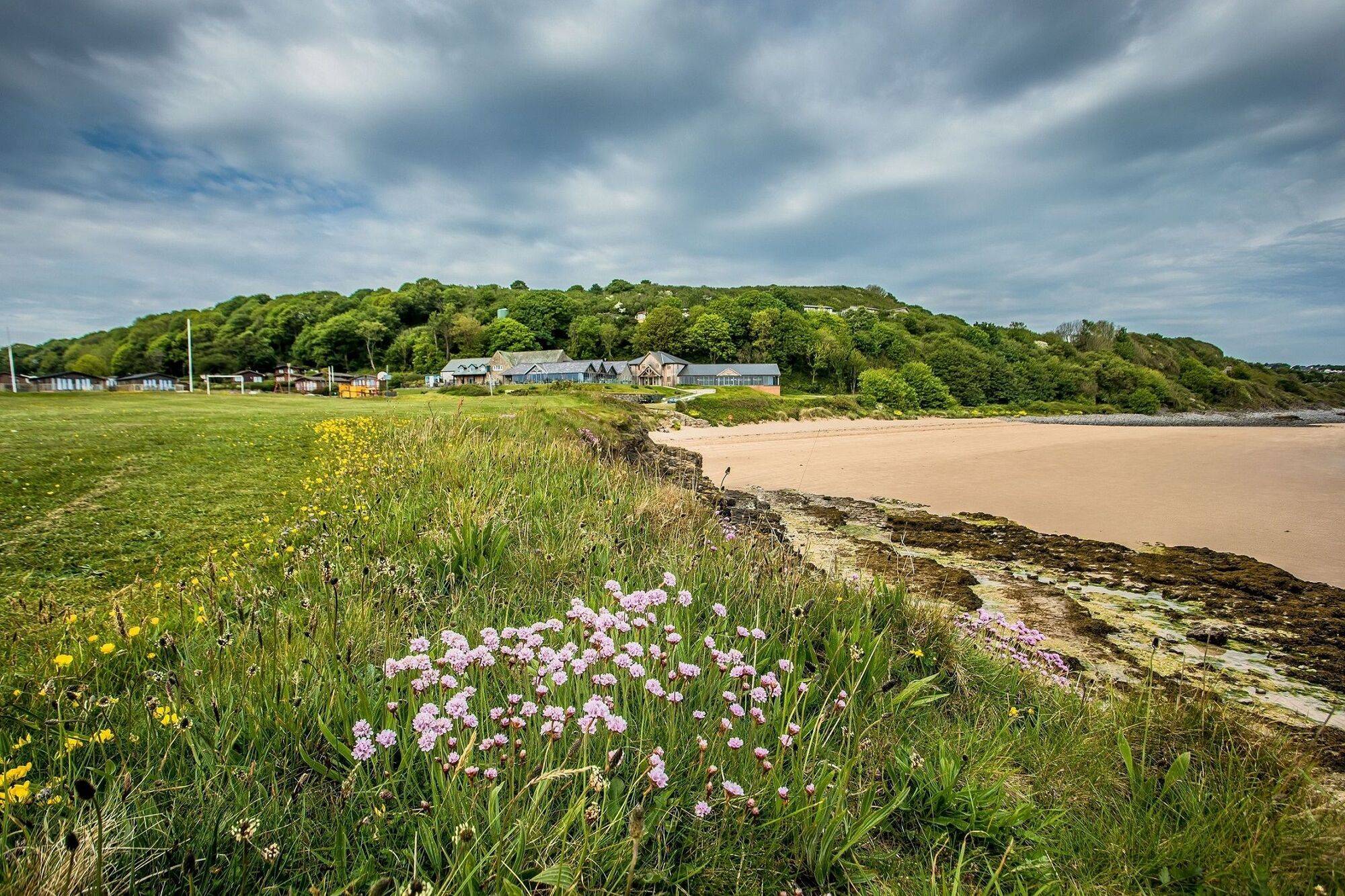 park_stdavid_spark2_766fdf02c8.jpg