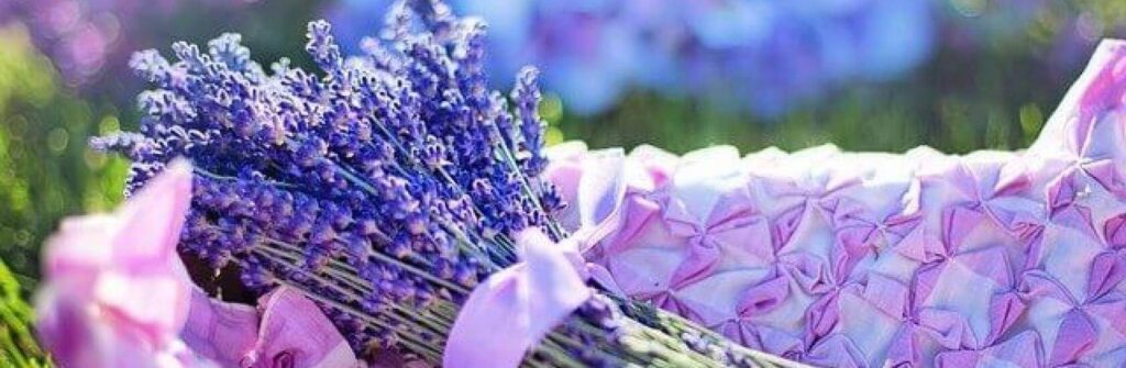 Plants to help you relax in your holiday home