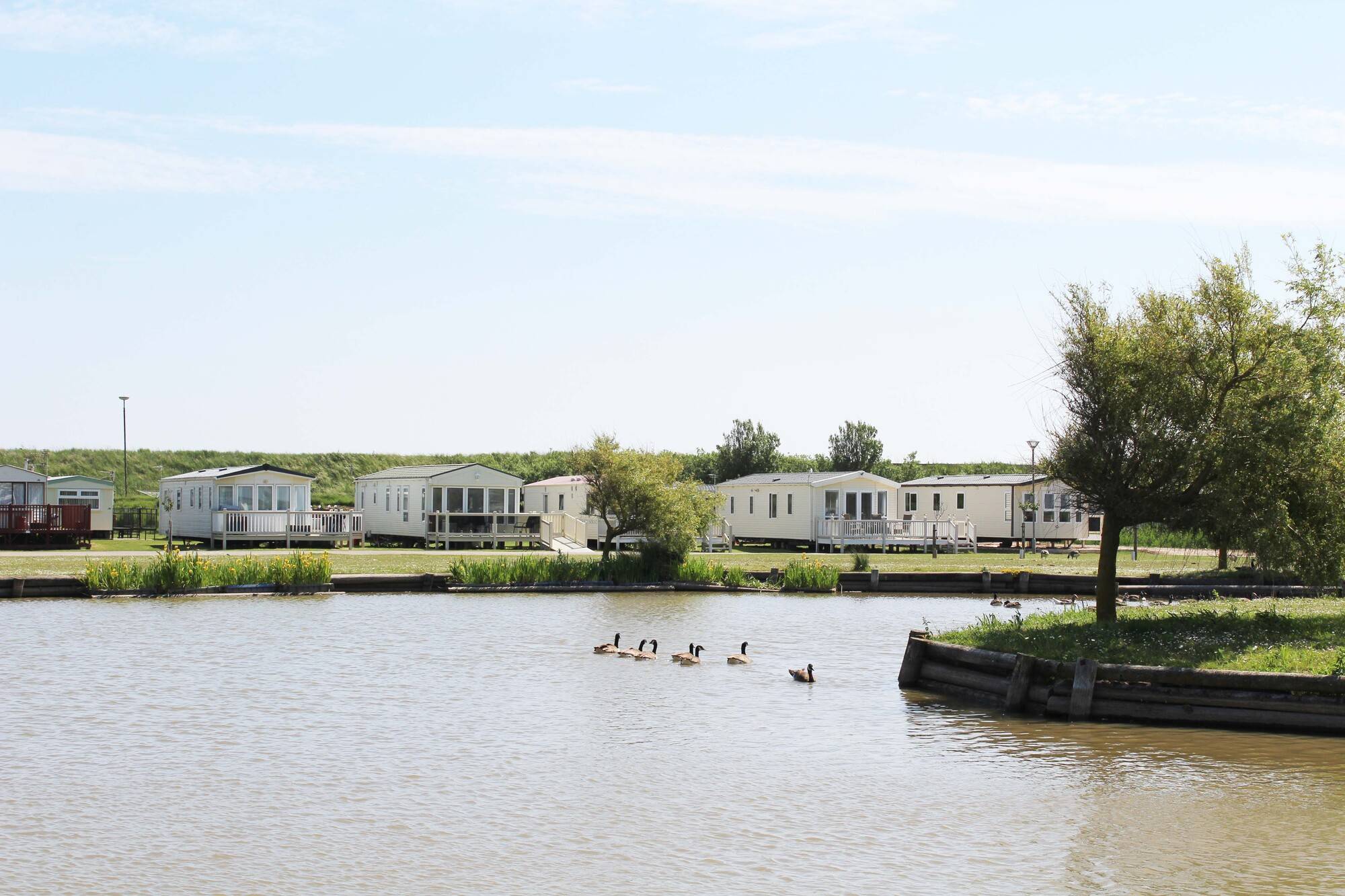 waterside_1_208eb7b511.jpg