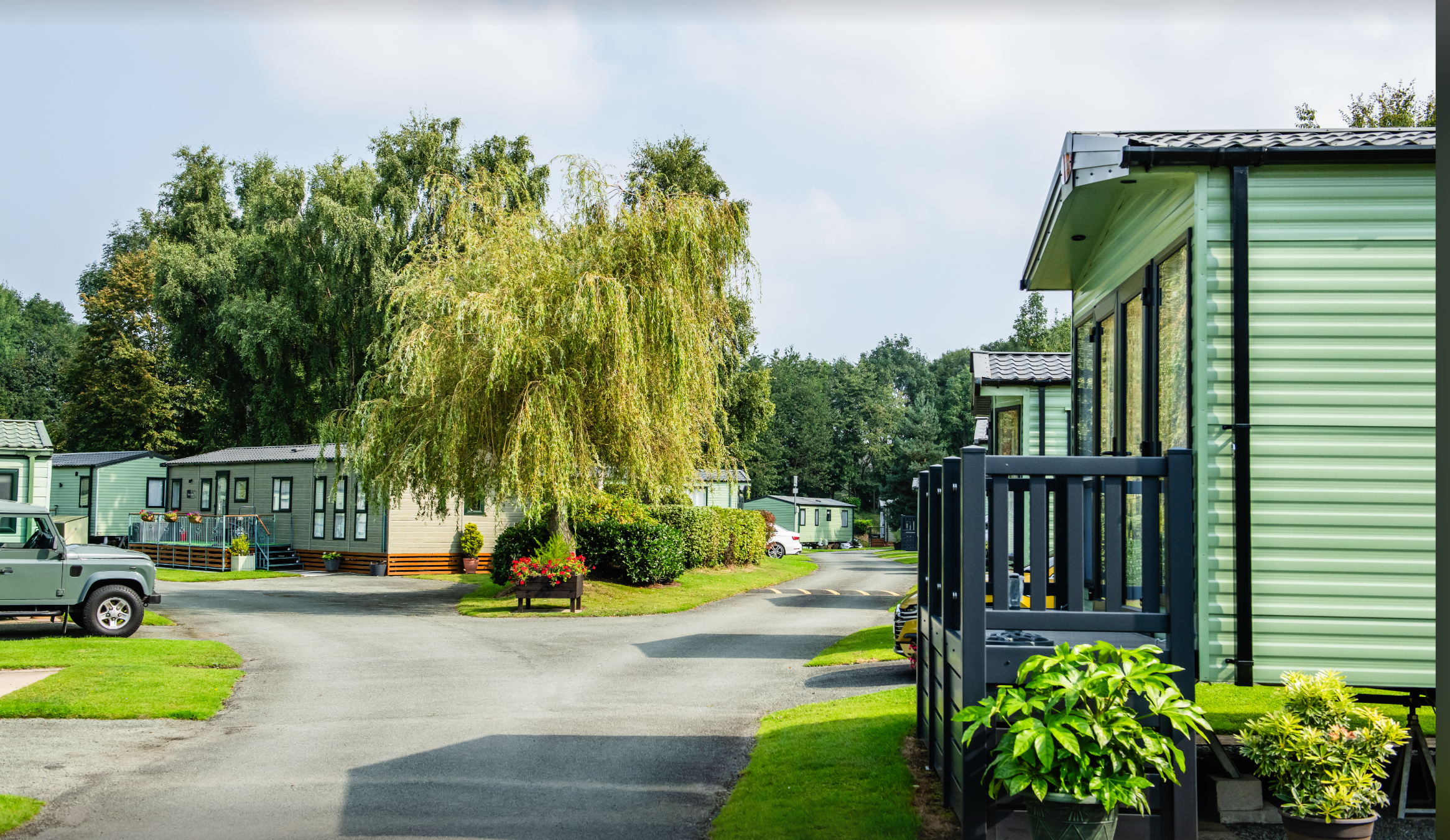 A well-kept holiday park on a sunny summer's day, with Willerby holiday homes set among neatly trimmed lawns, mature trees and potted plants lining a quiet tarmac road.