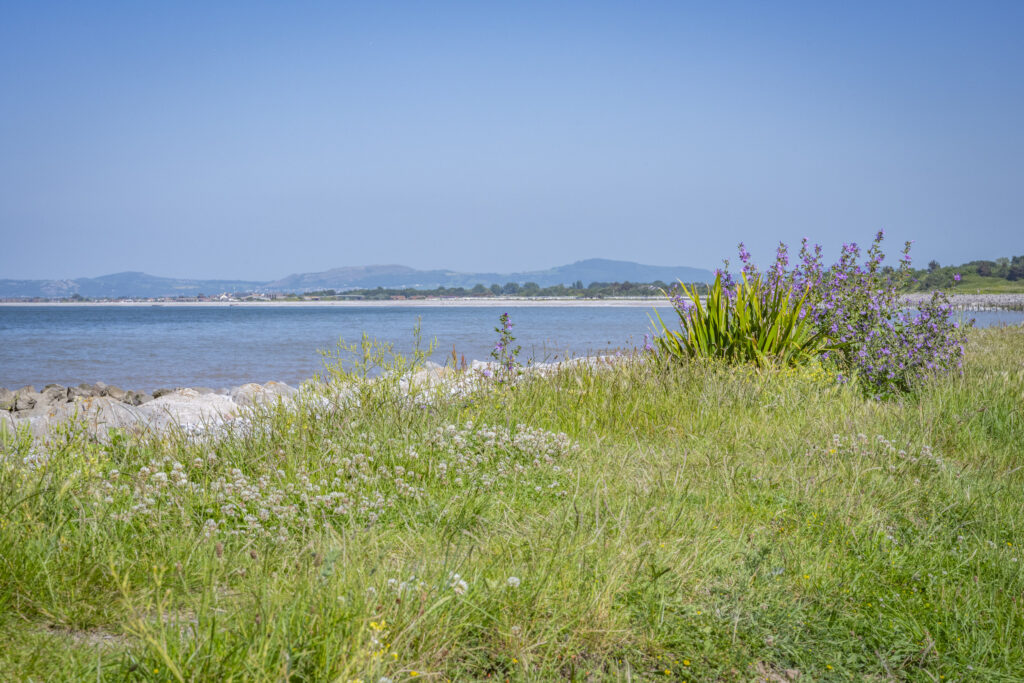 The Beach Caravan Park