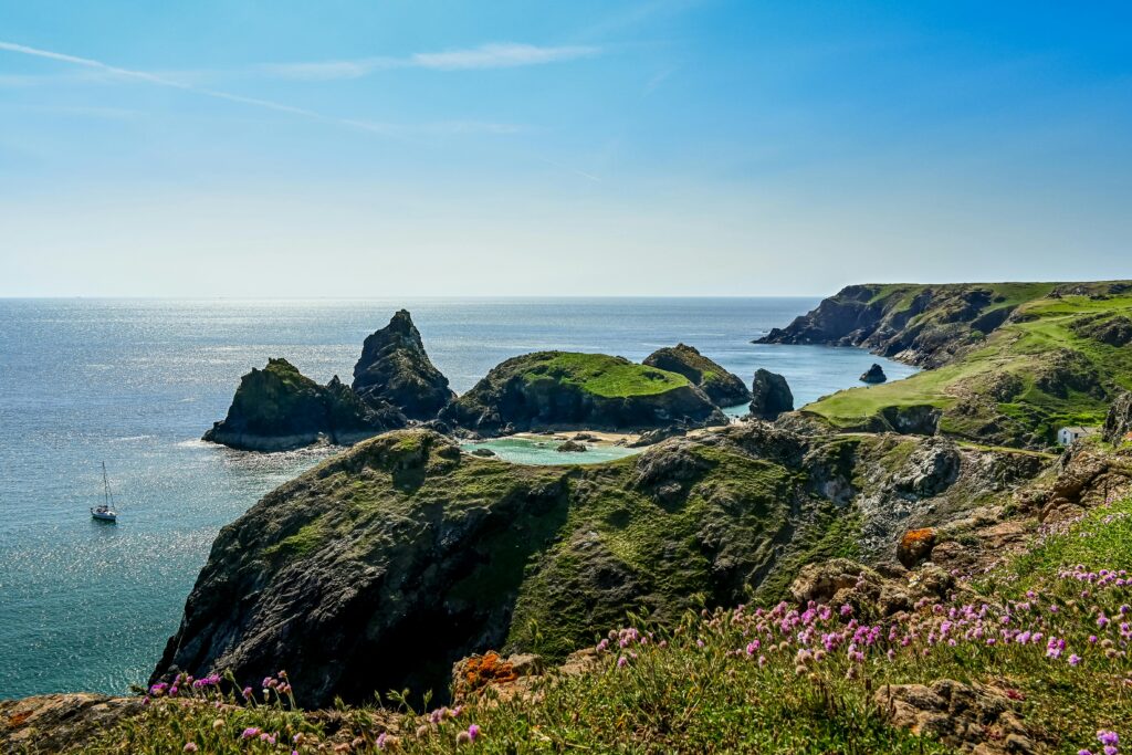 A sweeping clifftop view of Kynance Cove in Cornwall, with jagged rock formations rising from a turquoise bay, pink thrift flowers in the foreground, green clifftops rolling into the distance and a lone sailing boat on the shimmering Atlantic under a clear blue sky